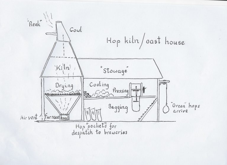 OAST Crosswordese Info