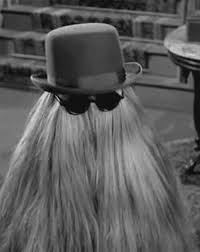 Cousin Itt - Wikipedia